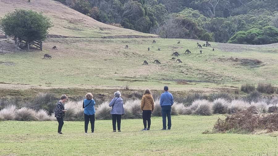 Great Ocean Road Lux Tour Max 11 Hotel Pickup - Loch Ard Gorge and the shipwreck story