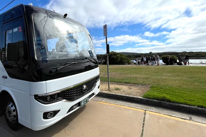Great Ocean Road Must-See Extended Tour – 12 Apostles & Beyond - Lorne brings the first coastal pause