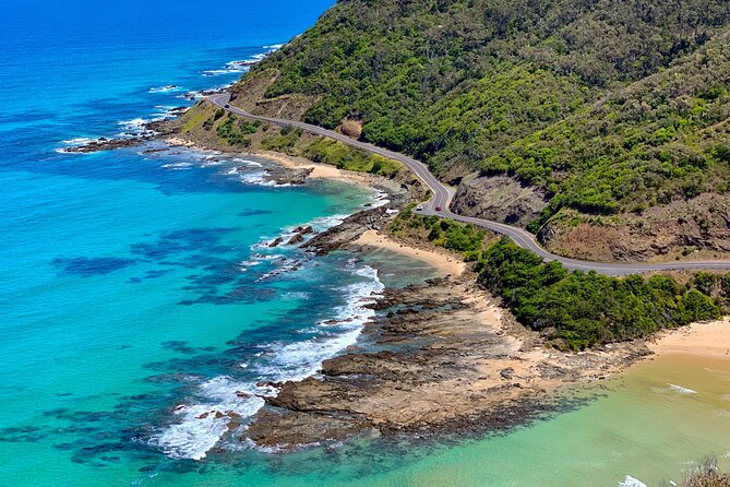 Great Ocean Road Must-See Extended Tour – 12 Apostles & Beyond - Koalas near Barham River Road