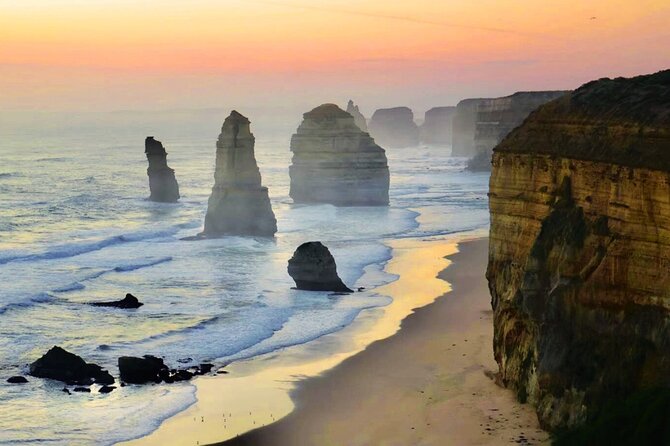 Great Ocean Road Private Day Tour - The chance to see koalas and kangaroos