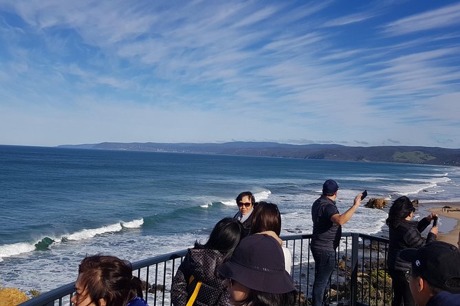 Great Ocean Road Private Luxury Tour - Memorial Archway, Teddy’s Lookout, and Split Point Lighthouse