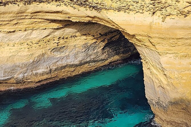 Great Ocean Road Private Tour In Luxury Vehicle.Customised Option - The Twelve Apostles deserve your best attention