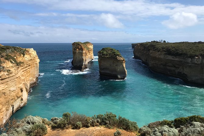 Great Ocean Road Reverse Itinerary Boutique Tour - Max 11 Guests - Great Otway rainforest on a short walk