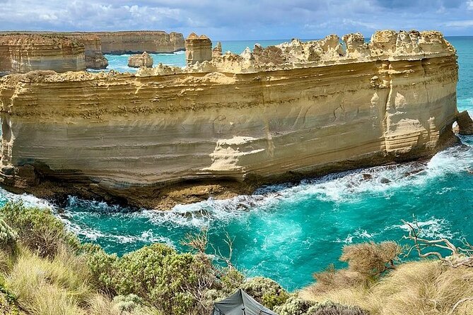 Great Ocean Road Reverse Itinerary Boutique Tour - Max 11 Guests - Looking for koalas at Kennett River