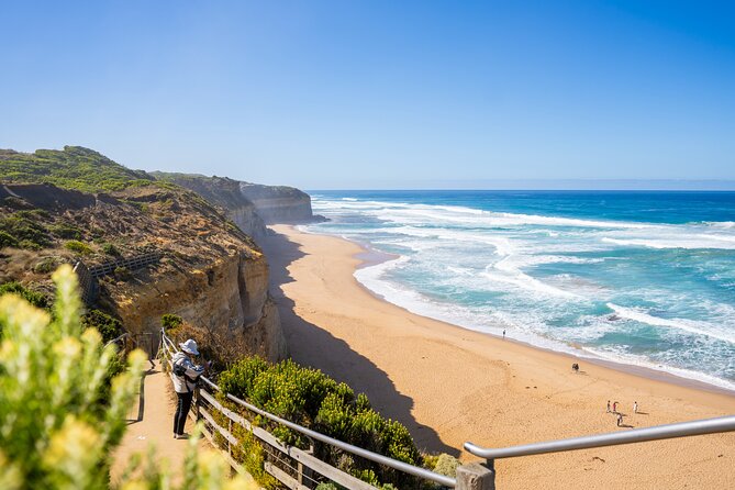 Great Ocean Road Reverse Itinerary Boutique Tour - Max 11 Guests - Finishing at Teddy’s Lookout