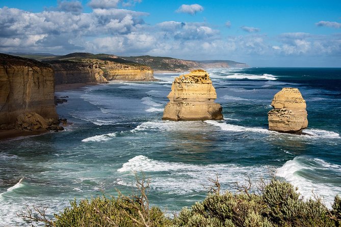 Great Ocean Road Reverse Rainforest & 12 Apostles from Melbourne - Looking for koalas near Wye River