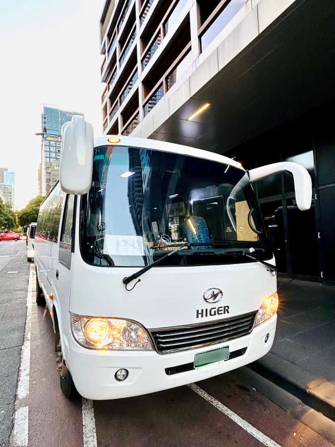 Great Ocean Road Reverse Tour London Bridge Wildlife - The guides shape the experience