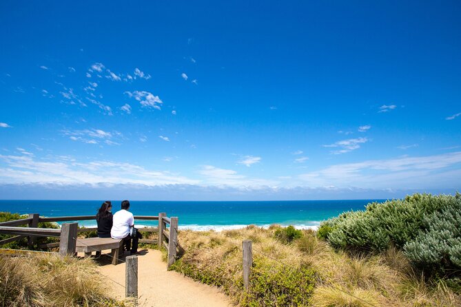 Great Ocean Road Reverse Tour with Iconic Stops & Wildlife - Looking for koalas along the Great Ocean Road