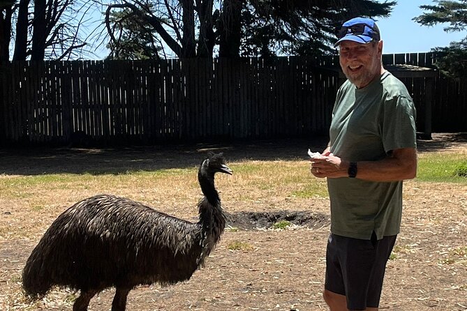 Great Ocean Road Small Group Tour with Dingos, Sparkling & Lunch - Memorial Arch and the story behind the road