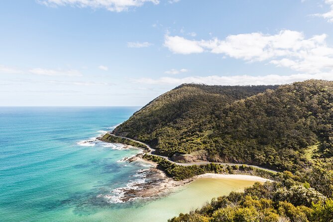 Great Ocean Road Small Group Tour with Dingos, Sparkling & Lunch - Loch Ard Gorge and a dramatic shipwreck story