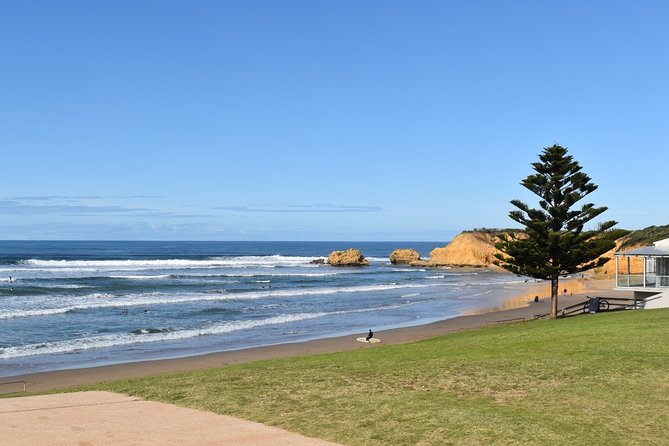 Great Ocean Road Tour Plus Koalas, Forest Walk and Morning Tea - Kennett River and Maits Rest
