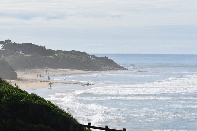 Great Ocean Road Tour Plus Koalas, Forest Walk and Morning Tea - The Razorback, Island Arch, and Loch Ard Gorge