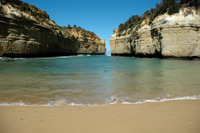 Great Ocean Road Tour Plus Koalas, Forest Walk and Morning Tea - Torquay and the first taste of the coast