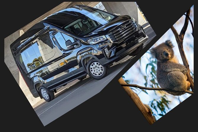Great Ocean Road Tour Reverse –SML GRP-DLUX Mini Bus Hotel Pickup - Kennett River and the search for wildlife