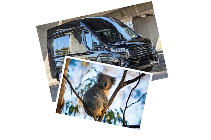 Great Ocean Road Tour Reverse –SML GRP-DLUX Mini Bus Hotel Pickup - The morning run through Colac