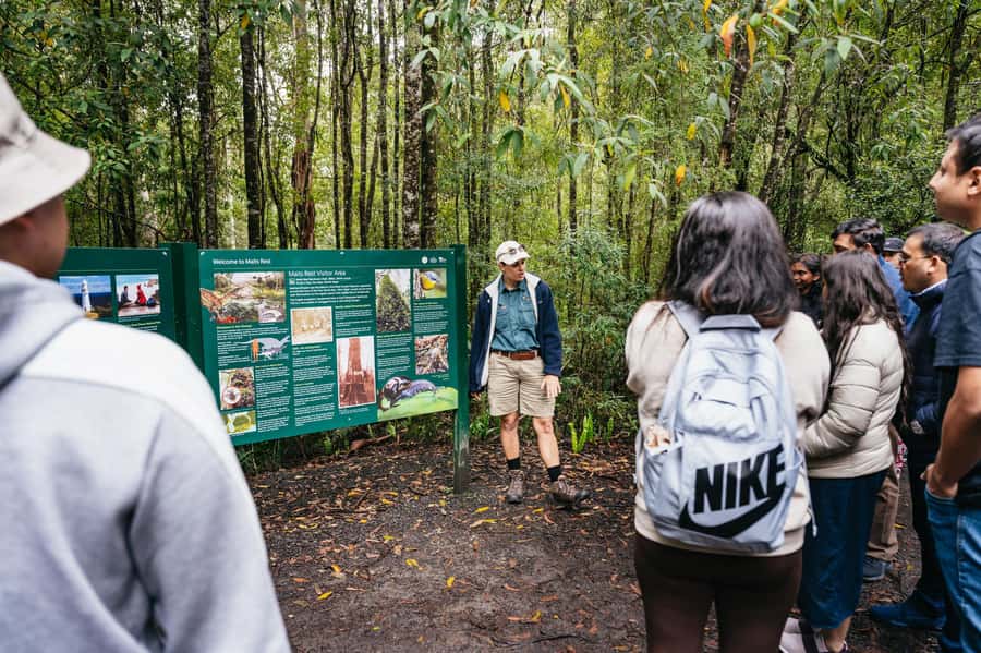 Great Ocean Road Tour w/ Deluxe Minibus & Top-Rated Guide - Maits Rest and the Great Otway National Park