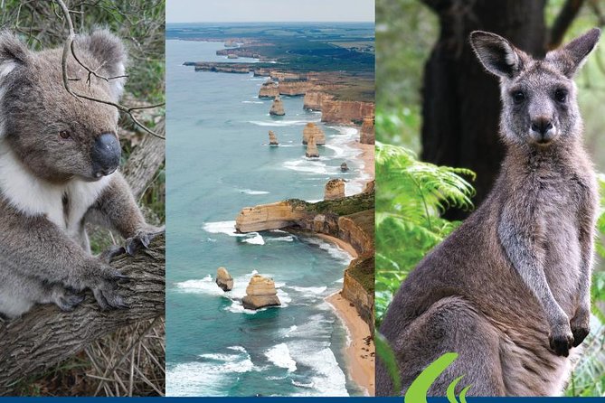 Great Ocean Road Ultimate Two Day Tour - Port Campbell and the western coastal stops