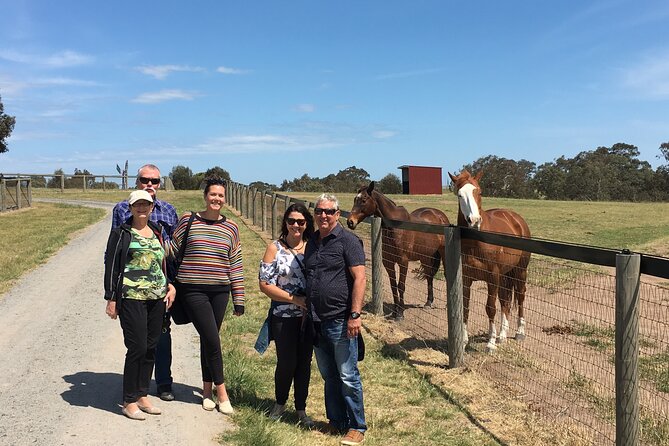 Half Day Living Legends tour with Devonshire Tea - What makes Living Legends more than a horse visit