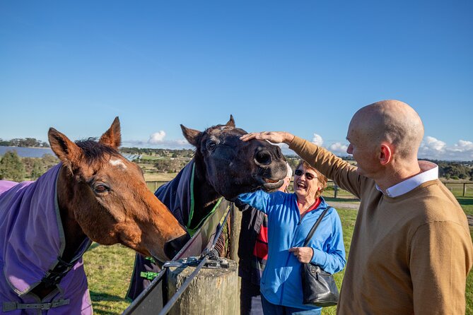 Half Day Living Legends tour with Devonshire Tea - Is $136.28 a fair price?