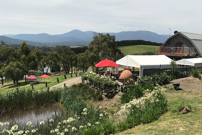 Half-Day or Full-Day Tour with Private Guide from Melbourne - Melbourne made personal: markets, coffee, gardens, and neighborhoods
