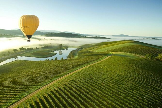 Half-Day or Full-Day Tour with Private Guide from Melbourne - Yarra Valley, wineries, and Puffing Billy