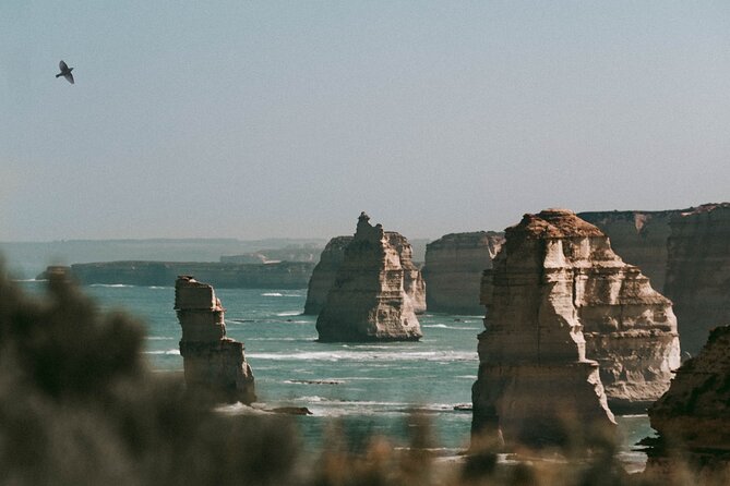 Half-Day or Full-Day Tour with Private Guide from Melbourne - Choosing four hours or eight
