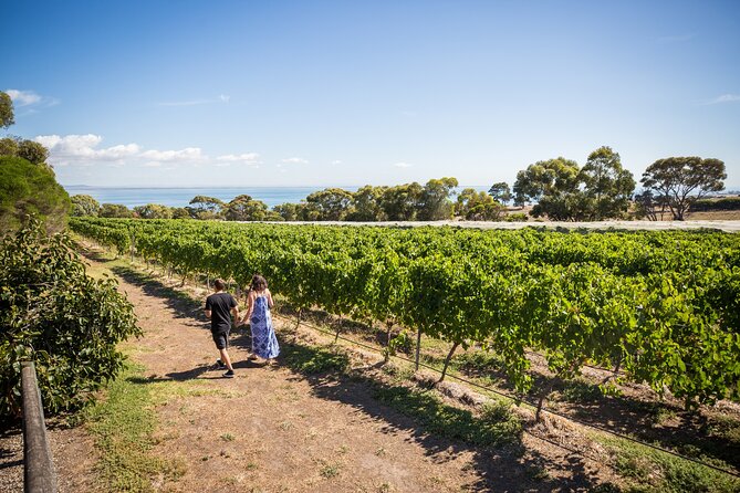 Hop On Hop Off Bellarine Bellarine Peninsula - Who will enjoy this Bellarine day most?