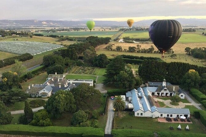 Hot Air Balloon Flight over the Yarra Valley - Key points to know before booking
