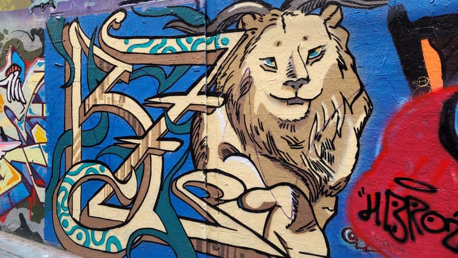 Icons of Melbourne Walking Tour - Collins Street’s Paris End and Swanston Street’s energy