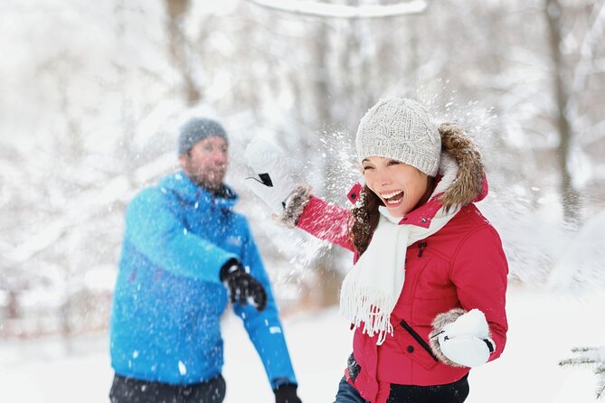 Lake Mountain Snow Tour - Key points at a glance
