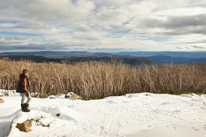 Lake Mountain Snow Tour - A snow day without a ski holiday