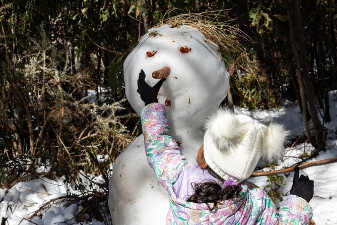 Lake Mountain Snow Tour - Is $125.52 a fair price?