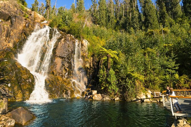 Lake Mountain Snow Tour - Who should choose this Lake Mountain outing?