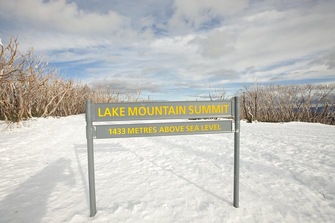 Lake Mountain Snow Trip including Yarra Valley Chocolaterie from Melbourne - The guide and the ride matter more than you might expect