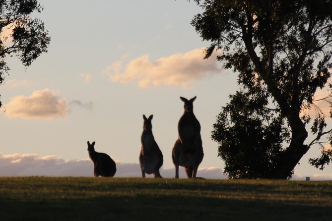 Living Legends Champion Racehorse Guided Tour - Key points to know before you go