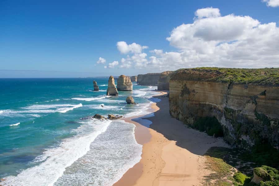Luxe Bus Great Ocean Road Coastal Spectacular - Lunch and a 70-minute walk at Wildlife Wonders