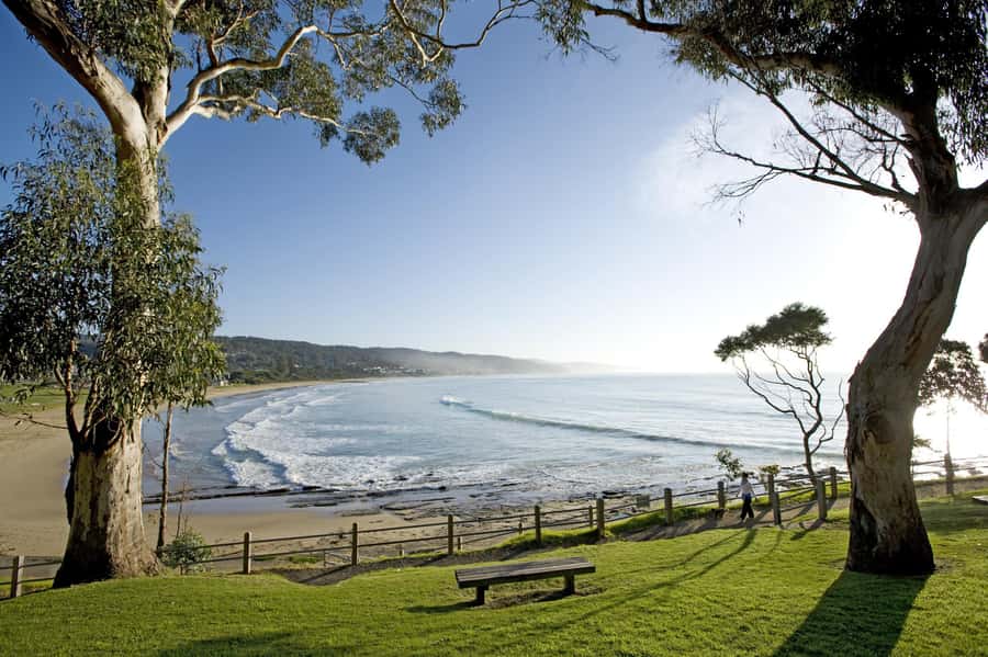 Luxe Bus Great Ocean Road Coastal Spectacular - Who should book this experience?