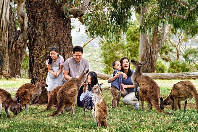 Luxury Phillip Island Tour for Families & Explorers [up to 10Pax] - Cape Woolamai Beach and the seasonal choice