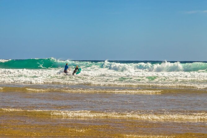 Luxury Phillip Island Tour for Families & Explorers [up to 10Pax] - What the price includes, and what it does not