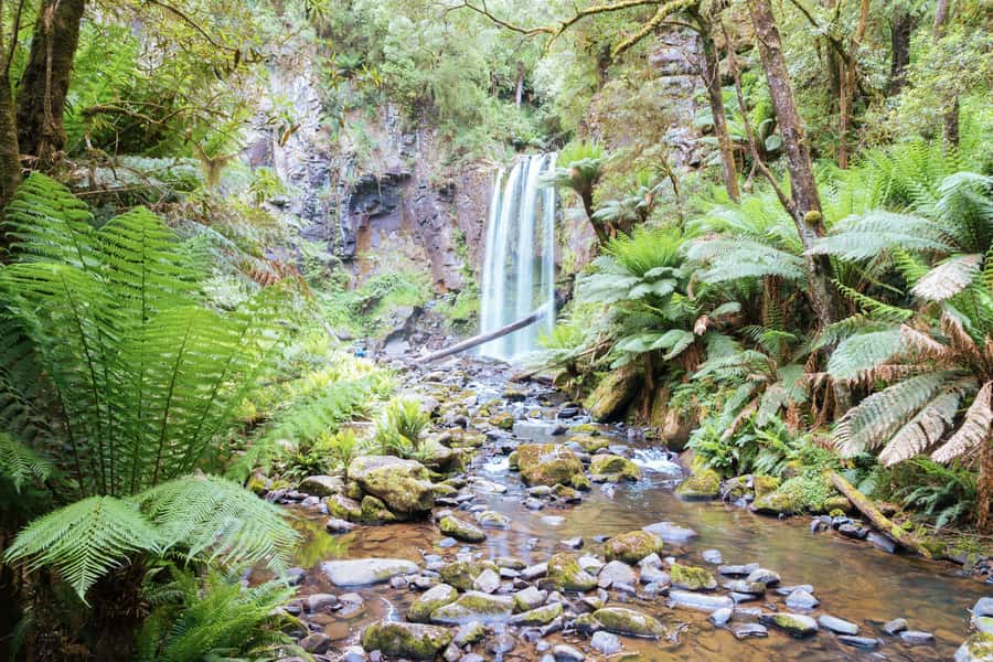 Melbourne: 12 Apostles, Otways & Great Ocean Road Day Tour - Why the early start matters at the 12 Apostles