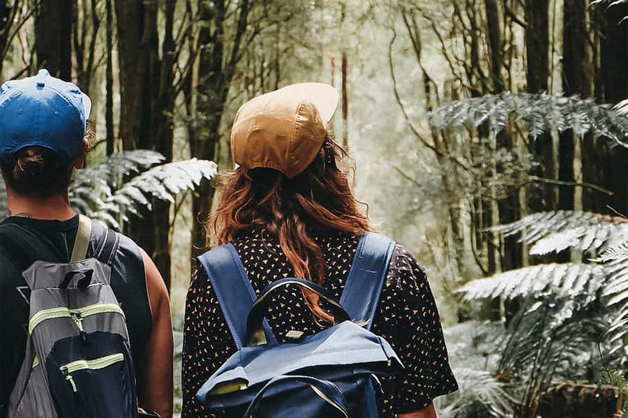 Melbourne: 12 Apostles, Otways & Great Ocean Road Day Tour - A waterfall walk in Great Otways National Park