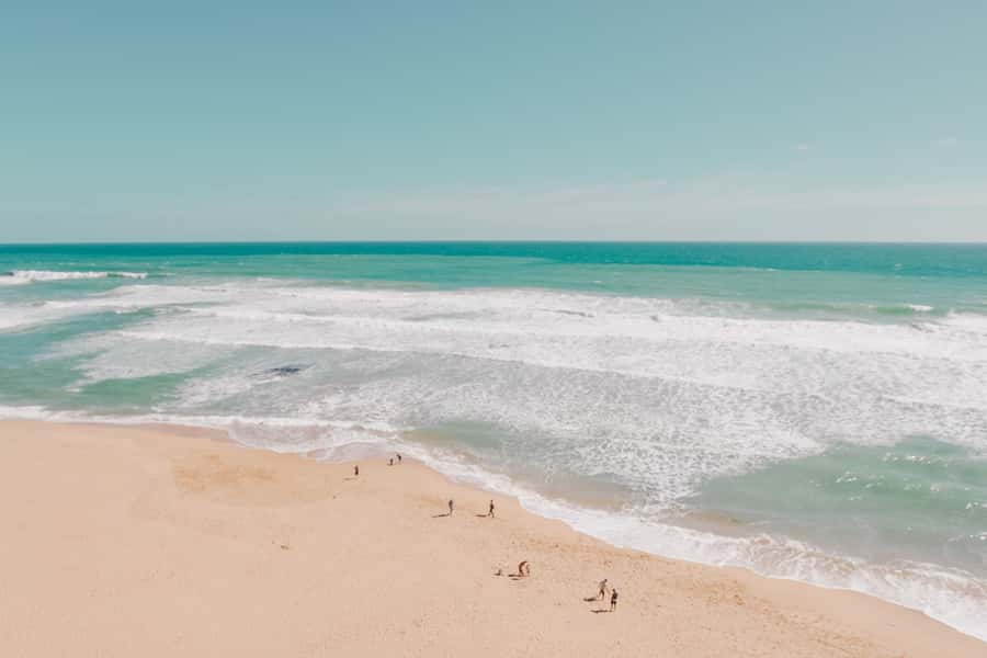 Melbourne: 12 Apostles, Otways & Great Ocean Road Day Tour - Koala spotting near Kennett’s River
