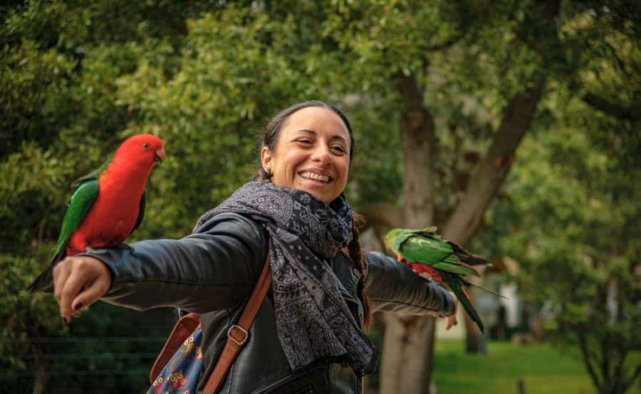 Melbourne: 12 Apostles Sunset Tour - Less Crowds - Small-group comfort and the real value of $112