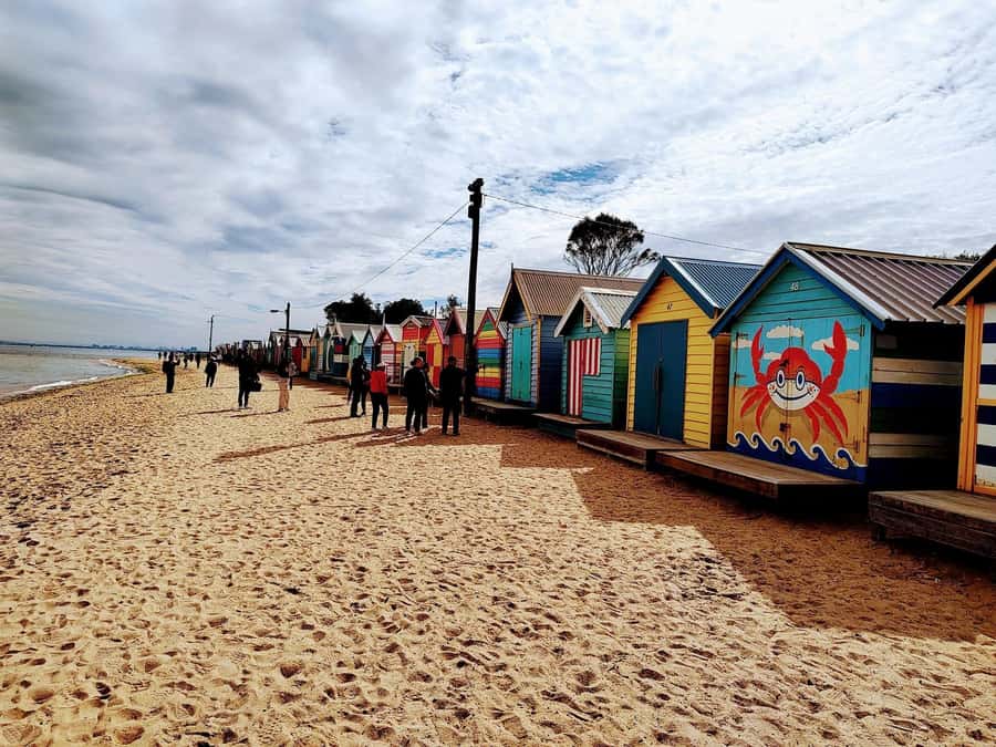 Melbourne 3-Hour Small Group Tour with Beach Boxes - A quick way to get your Melbourne bearings