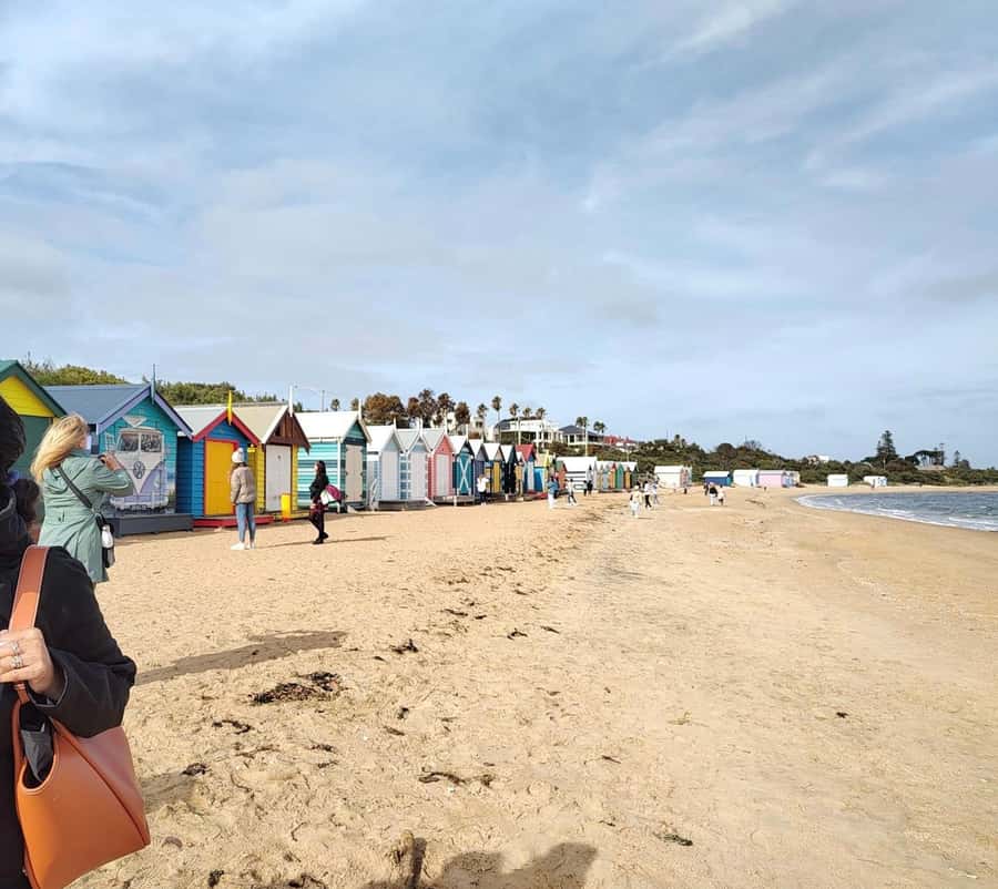 Melbourne 3-Hour Small Group Tour with Beach Boxes - What the small-group setup adds