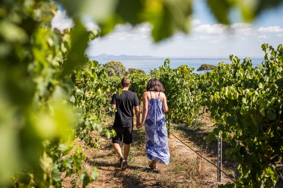 Melbourne: Around the Bay Food & Wine Taste Trail - Starting with sea air at Geelong Waterfront