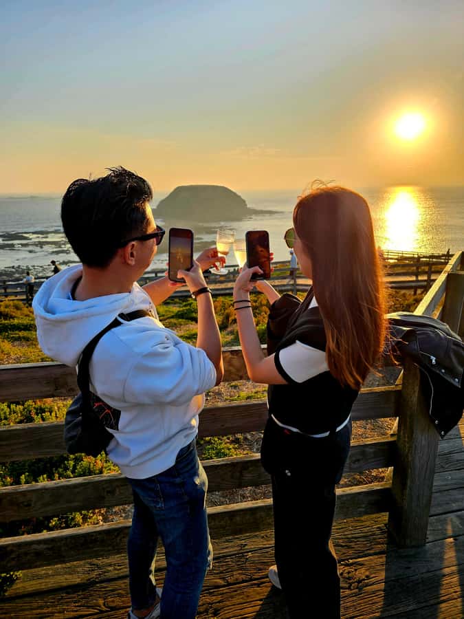 Melbourne: Boutique Phillip Island Wine, Dine & Penguin Tour - Key points at a glance