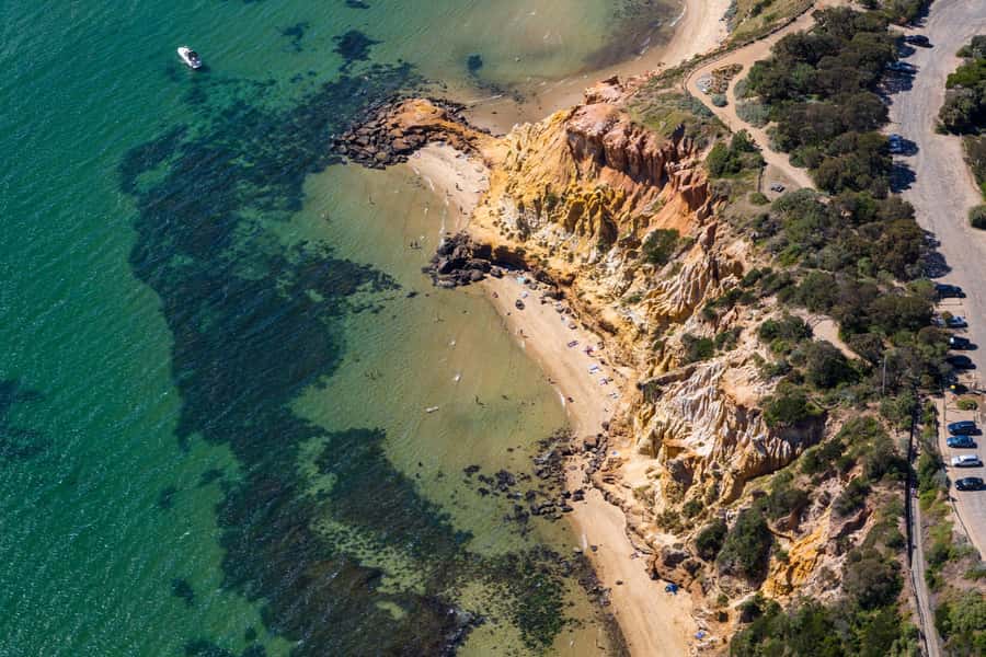 Melbourne: Brighton Beach & Ricketts Point Helicopter Flight - Key points about the 12-minute flight
