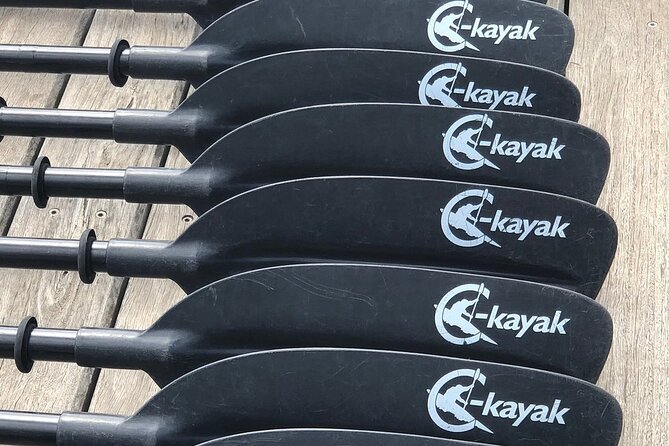Melbourne City Sights Kayak Tour - Is $58.81 good value?