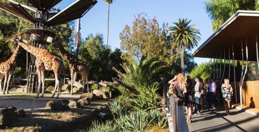 Melbourne City Surrounding Sightseeing Tour - St Kilda: city sightseeing meets the sea
